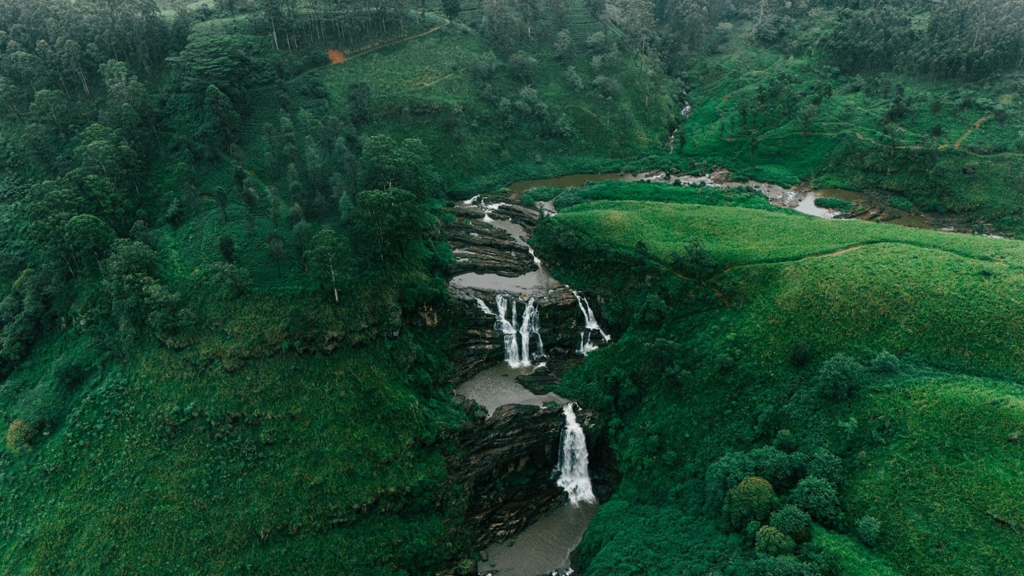 Contact Yana Tours Lanka - Sri Lanka Tour Guide